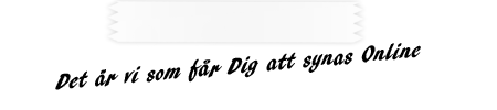 det �r vi som f�r dig att synas online